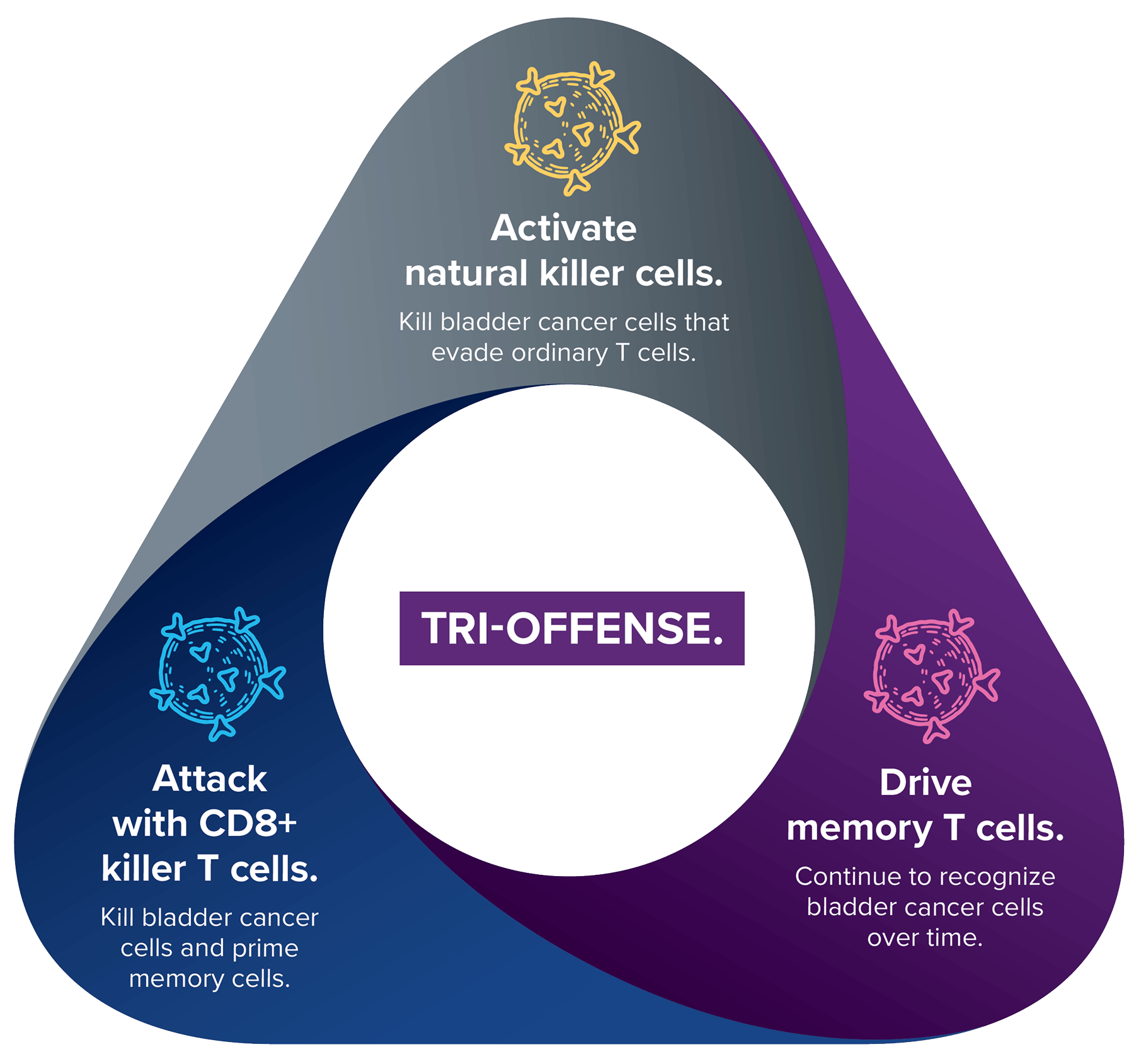 Infographic diagram on black background titled “TRI-OFFENSE” in a central yellow banner, showing Anktiva’s three-pronged immune mechanism in a large inverted triangle: top gray section activates natural killer cells to kill evasive cancer cells (yellow icon); bottom-left blue section attacks with CD8+ killer T cells to eliminate cancer and prime memory cells (blue icon); bottom-right purple section drives memory T cells for ongoing bladder cancer recognition (pink icon).