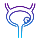Bladder cancer icon: neon purple-to-cyan gradient line illustration of the human bladder and urethra with a spiky tumor/cancer mass inside the bladder on black background.